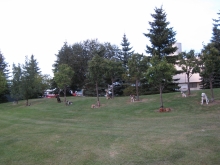 2011-08-29 19-52-19