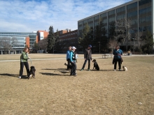 2012-03-31 10-29-59