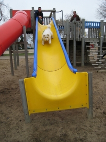 2012-05-05 11-46-30