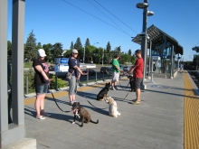 2012-07-19 18-17-05