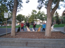 2013-07-29 20-49-44
