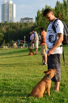 2014-08-04 19-50-45