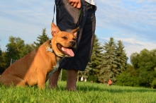 2014-08-04 20-00-20